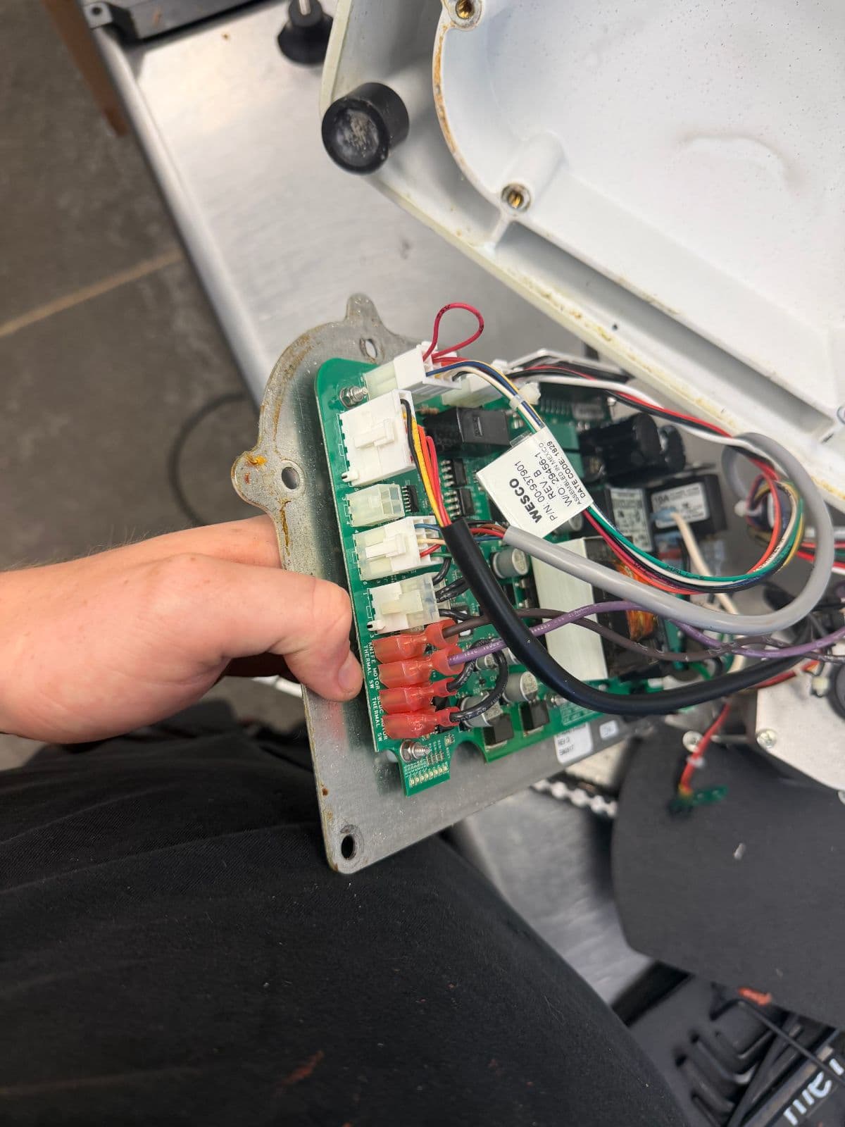 Bizerba commercial meat slicer repair service in Studio City, CA — job photo by MyroCraftApplianceRepairLLC