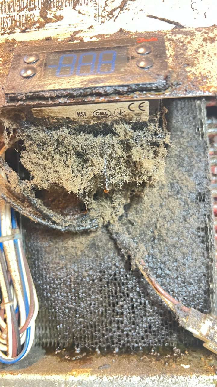 Techmeeting LLC Commercial Refrigeration Repair work sample 7
